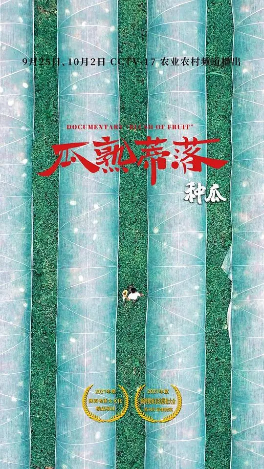 瓜熟蒂落：爱情成熟的甜蜜旅程与人生感悟