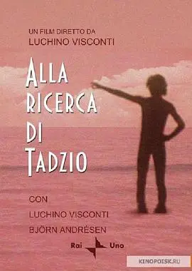 《寻找塔奇奥》影评：一场关于逝去与追寻的迷人旅程，在光影中重拾生命意义