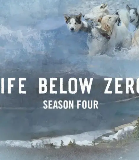 《零度以下的生活第四季》：冰封下的情感复苏，人性的挣扎与温情交织