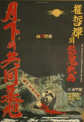 《月下的共同墓地》：阿根廷午夜的凄美挽歌，生者与逝者的情感羁绊深入骨髓