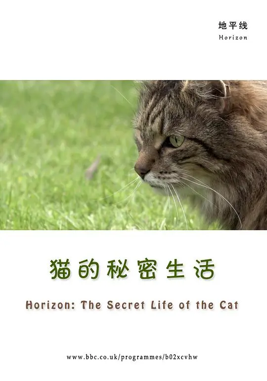 《BBC地平线：猫的秘密生活》深度解析：揭秘喵星人的神秘世界与隐藏的内心戏