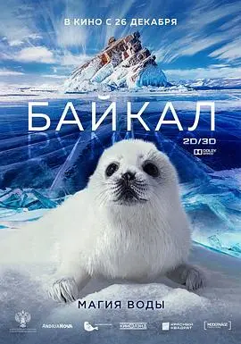 《神奇的贝加尔湖》：不是旅游宣传片！这是一场触及灵魂的治愈之旅！
