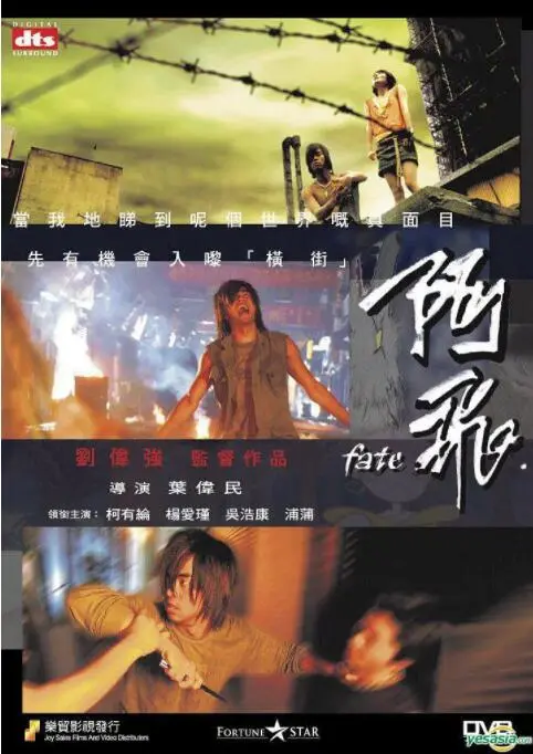 《阿飞》：青春的悸动，夏日限定的心动！张艾嘉这导演功力，啧啧，老牌港片韵味十足！