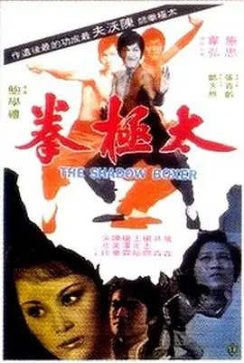 《太极拳1974》：宿命的对决，看拳师如何玩转命运的生死局！